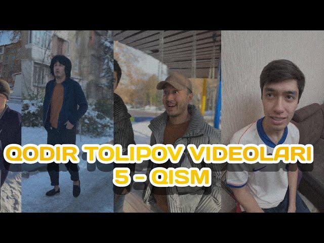 Qodir Tolipov Vinelar To'plami 5-Qism ｜ Yangi Vaynlar ｜ Instagram Videolar 2024