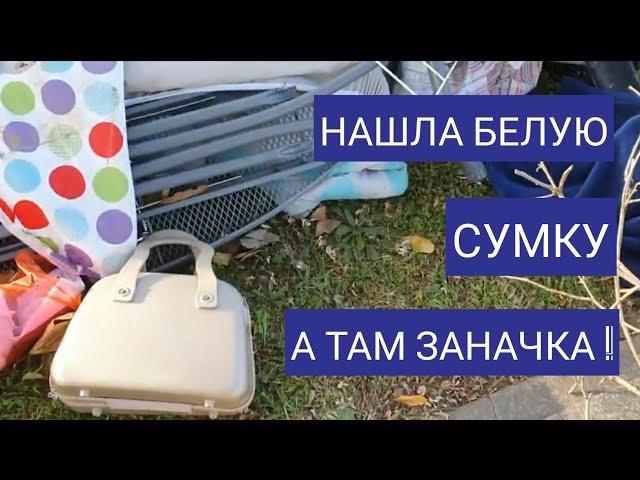 Нашла сумку ,а там заначка ! Мои находки на свалке . И деньги и очки виртуальной реальности.