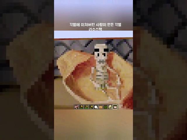 각별에 미쳐버린 사람이 만든 광기의 리소스팩 #각별 #마인크래프트 #리소스팩