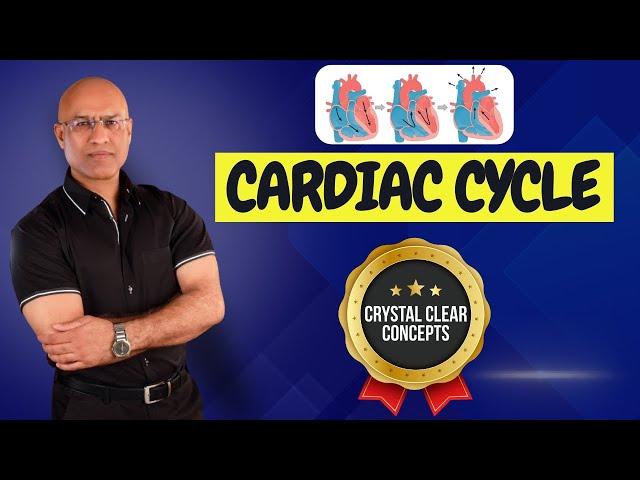 Cardiac Cycle | Cardiology | Systole & Diastole | Cardiovascular🫀