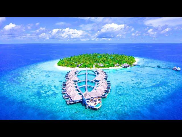 Summer Vibes 4K ️ Maldives ️ Travel the world 