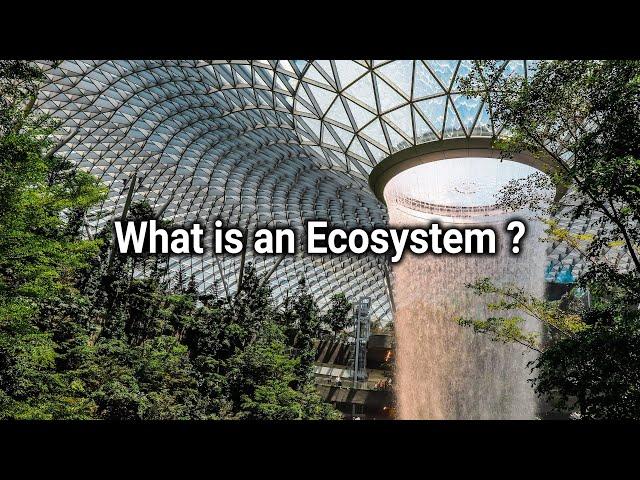 What is Ecosystem | Ecosystem in 6 mins | Overview of Business Ecosystem | Simplyinfo