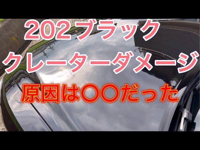 クレーターダメージが増えていく原因はシャンプー洗車で落ちない汚れの放置。202ブラックは汚れの焼き付きスピードが異常に早い。