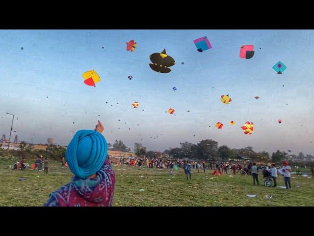 Flying Kites at vallah mela Patangbazi