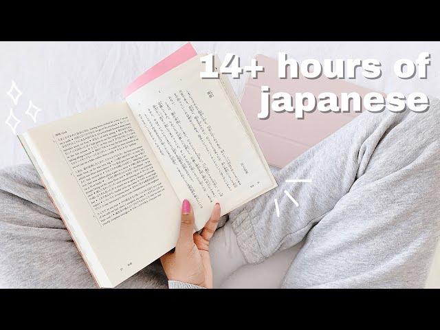 my 14+ hour weekly japanese study routine| how I study intermediate japanese at home