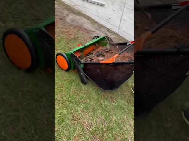 Yard Clean up the EASIER way! | Cleaning leaves, pinecones, pine needles | Scott's Push lawn sweeper