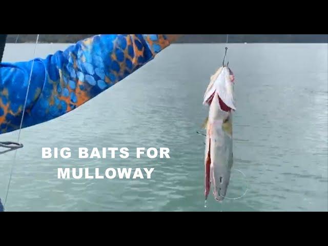 BIG BAITS FOR MULLOWAY | ESCAPE FISHING WITH ET