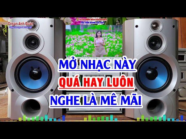 Tuyệt Đỉnh Nhạc Không Lời Rumba - Nhạc Hay Lắm Nghe Là Mê Mãi - Nhạc Không Lời Hay Nhất 2024