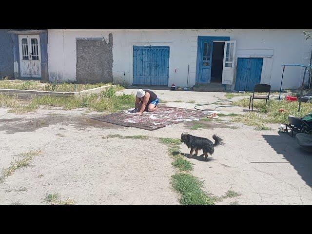 СТИРАЕМ КОВРЫ Я И МОЙ ПОМОЩНИК...