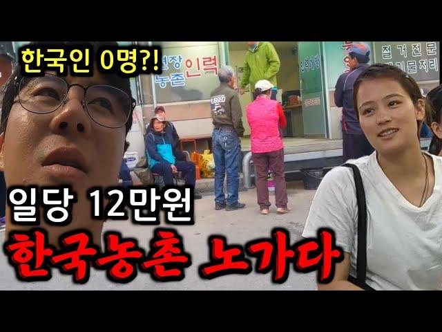 외국인은 집구매 한국인 없는 한국 농촌의 현실&노가다【한국】