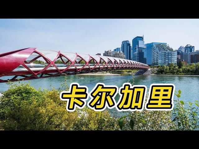 Calgary｜  Downtown, Peace Bridge,  Princes Island Park, Chinatown｜Toronto self-driving to Vancouver 