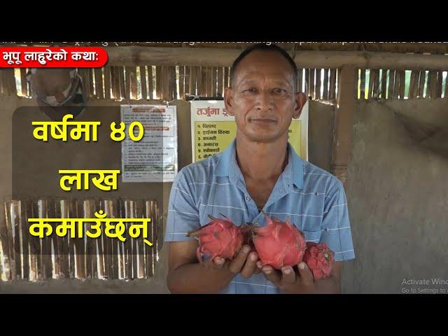 यसरी गर्न सकिन्छ ड्रागन फलकाे खेति #dragonfruit  farming in nepal. #KripashurGhale #Sunsari