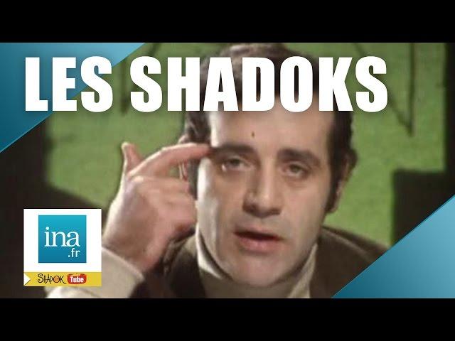 Les Shadoks sont-ils pour les attardés mentaux ? | Archive INA