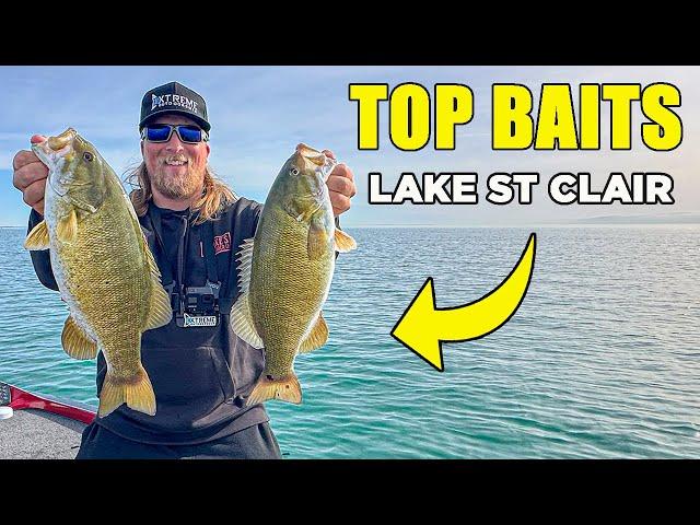 Top Baits For Smallmouth Bass Fishing On Lake St Clair 2024 (REVEALED)