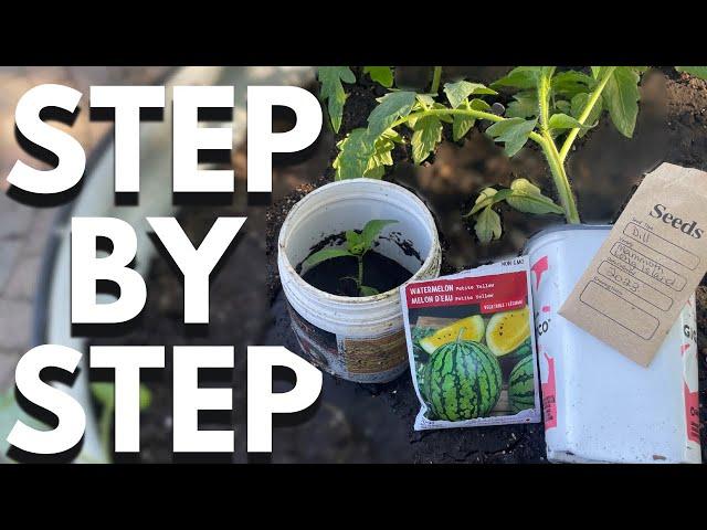 How To Plant A Garden 101. Step-by-Step exactly what TO DO!