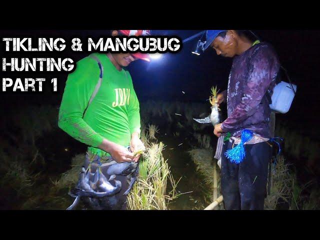 e135  Part 1 | Catch N Cook Tikling & Mangubug | D ILOCANO HUNTER