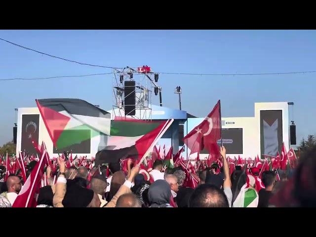 Yusuf Islam (Cat Stevens) - The Little Ones (live at Gazza rally in İstanbul)