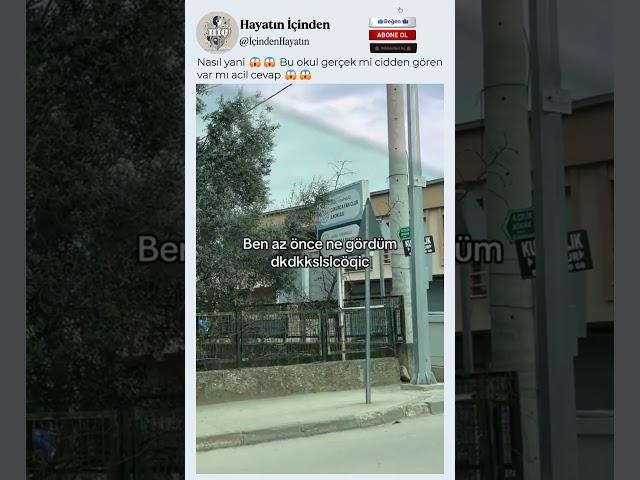 Bu Okul Gerçek Mi 