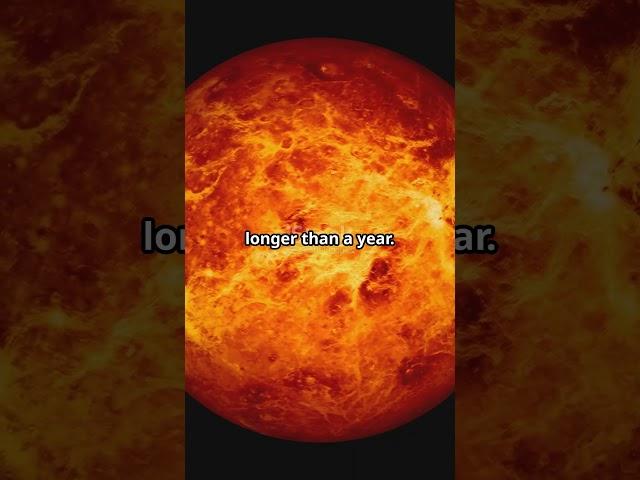Universe Unpacked: 5 Hilarious Cosmic Oddities!