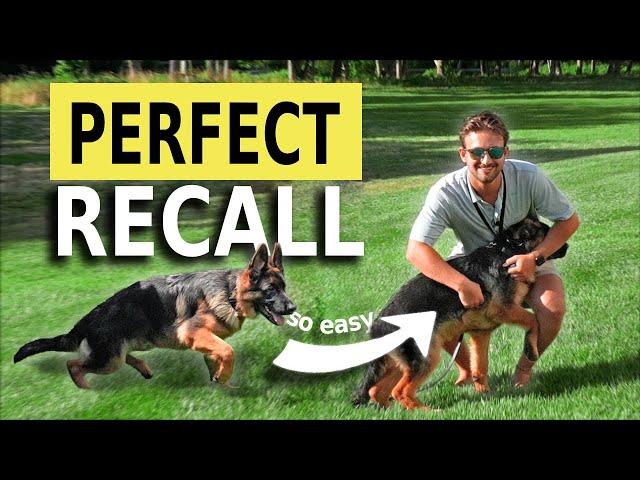 How to Teach a PERFECT Recall