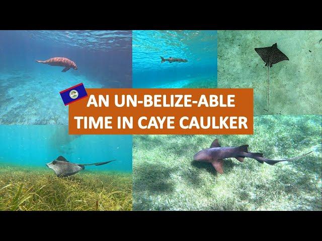The Caye to a Great Time | Why Your Belize Vacation Needs a Snorkelling Boat Tour