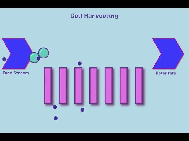 Introduction to Tangential Flow Filtration (TFF)