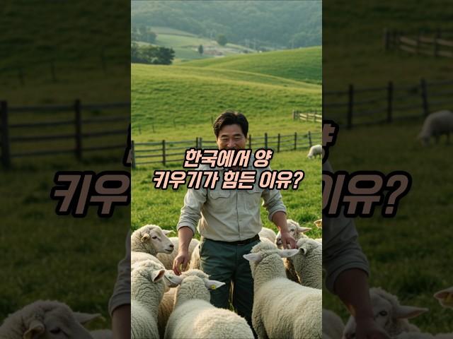 한국에서 양 키우기가 힘든 이유? #넌센스 #퀴즈 #아재개그 #유머