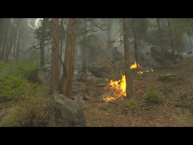 KSEE 24 News Assessing the damage