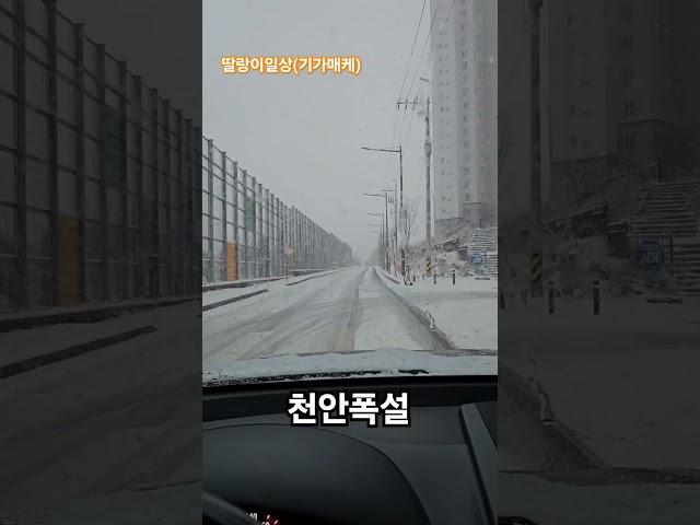 천안폭설 #모하비 #눈길주행 #shorts