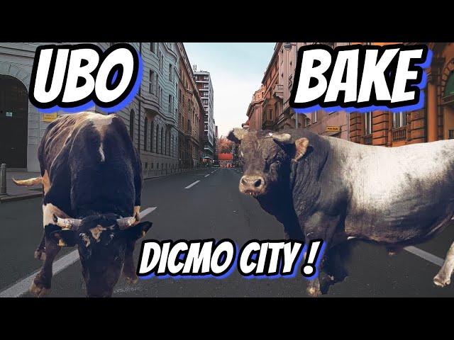 UBICA - BAKE DICMO 2021 bull fight बुलफ़ाइटिंग 闘牛 KORIDA