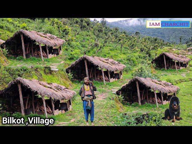 Nepali Mountain Village Life|Dolpa|Shepherd Life| Rainy Day|Organic Shepherd Food |Real Nepali Life