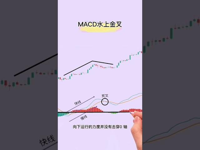 K线指标～MACD水上金叉 #shorts #加密貨幣 #k线图基础知识