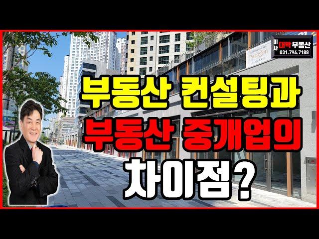 부동산컨설팅과 부동산중개업의 차이/중개보수 초과 수수료 [미사부동산 미사대박부동산 임병민]
