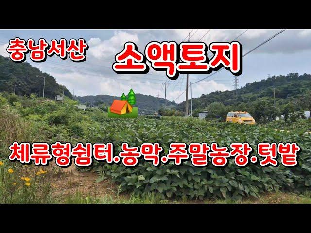 [물건24번]   소액토지   충남 서산토지매매  토지 농막쉼터 주말농장 텃밭등 농막용지 서산 황금알  부동산