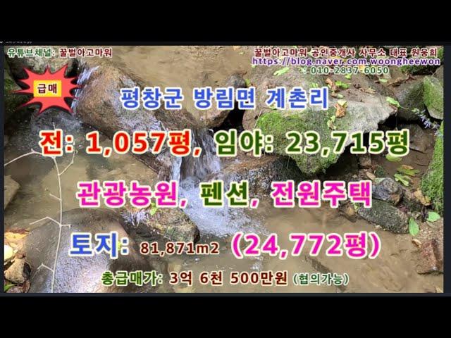 (급매) 평창군 방림면 계촌리 전 임야 토지 24,772평 (상담환영)