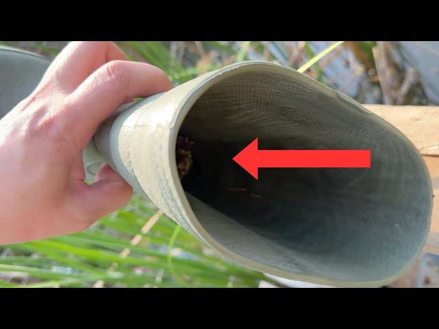I Didn't Expect To Find That In There!!