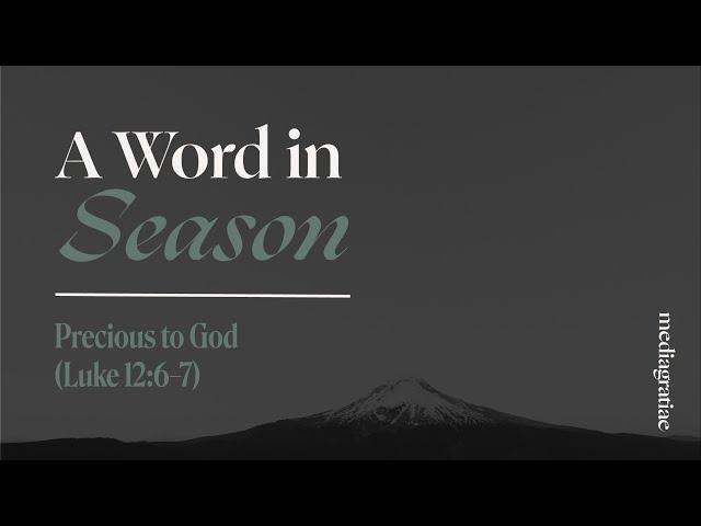 A Word in Season: Precious to God (Luke 12:6–7)