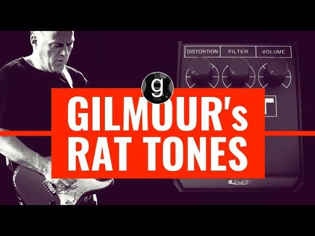 David Gilmour's Rat tones - Overdrive, distortion and fuzz in ONE pedal!