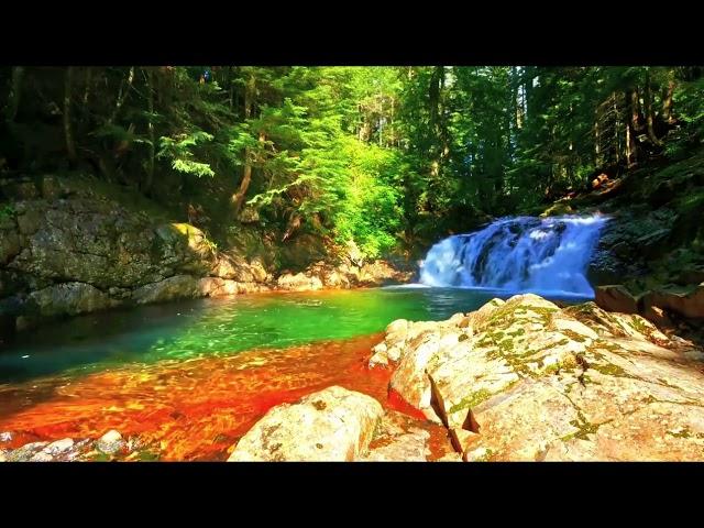 Musique Relaxante en Harmonie d’une Une Cascade en Présence De La Nature Sauvage #youtube