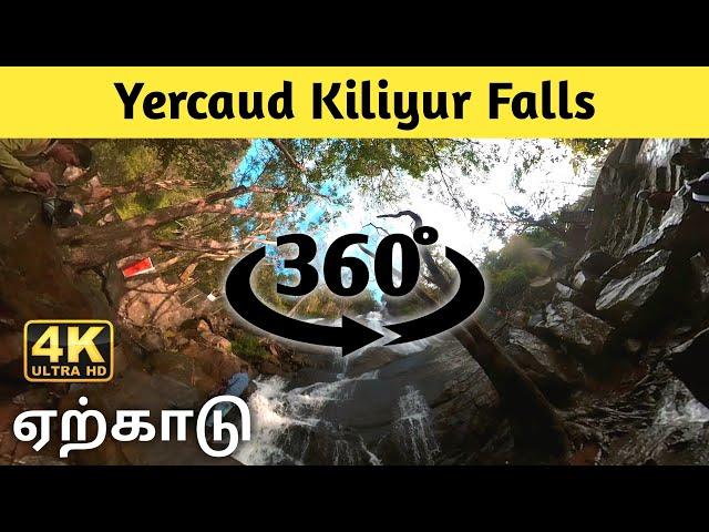 Yercaud Kiliur Falls 360 Degree Video | Anbudan Dina