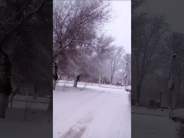 Новочеркасск.Снег,4 февраля.