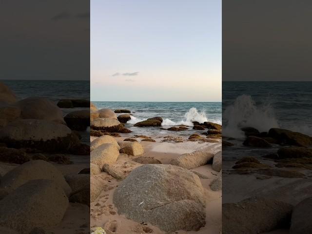 Relaxing Waves | Evening At The Beach #australia #beach #travel #inspiration #meditation #shorts