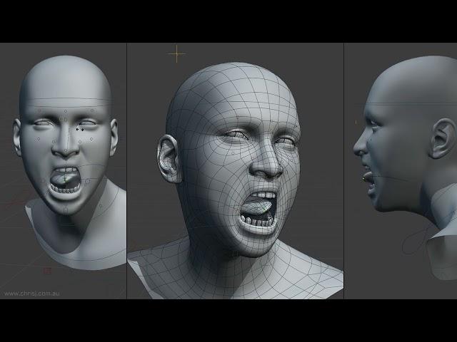 Face Rig