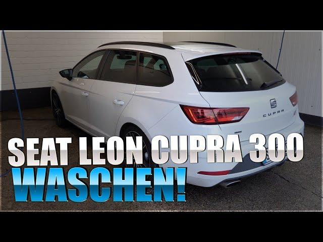 Seat Leon Cupra 300 komplette Autowäsche | 83metoo