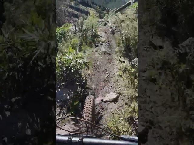 following someone down a trail  #mtb #iykyk #canttell #secret