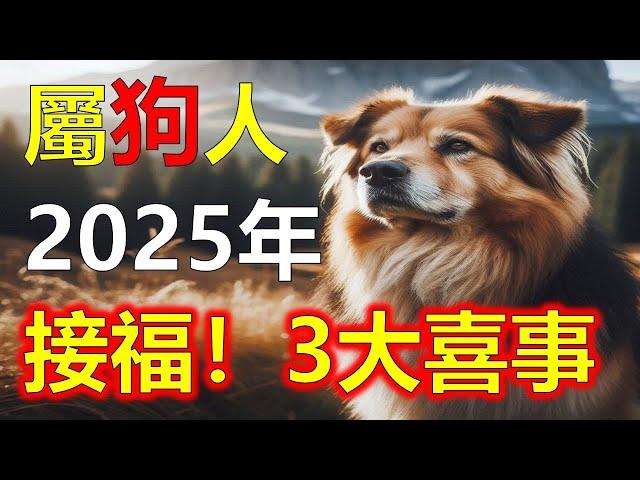 2025生肖運勢，十二生肖屬狗2025年三大喜事，分別是什麼喜事，2025年，屬狗的朋友过去運勢相比其他生肖低迷許多，十二生肖當中，許多屬相的命運會迎來全新的變化，屬狗雖然在2024年運勢不好