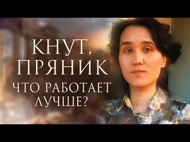 Как расположить к себе человека? Психологический разбор книги "Pax Romana. Синий лотос"