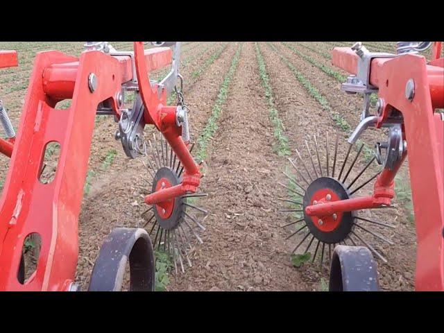 Row-crop cultivator - CHOPSTAR-TWIN - EINBÖCK Shortclip #3