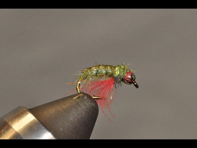 Czech Attractor Nymph   A Christmas Fly