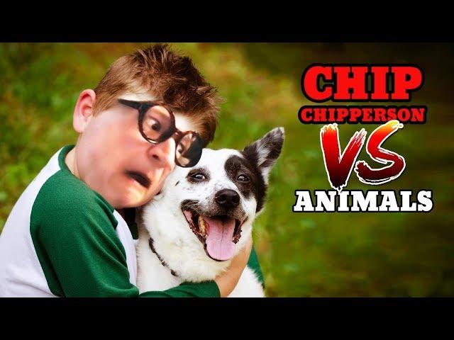 Chip vs Animals (Chippy’s Mittens, Mr Scraps, Oscar The Octopus, Lyle The Turkey, etc.)